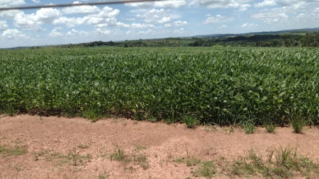 Fazenda em Silvânia