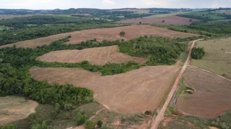 Fazenda em Silvânia