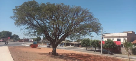 Área Setor Pontal Sul
