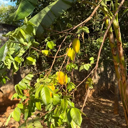 Chácara Cidade Vera Cruz