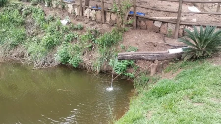 Chácara Caldas Novas