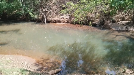 Chácara Caldas Novas