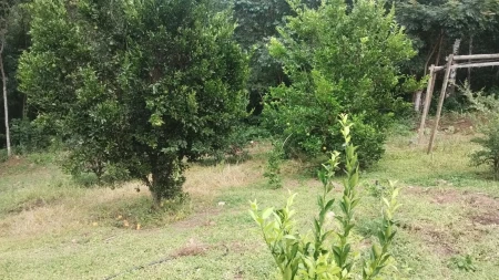 Chácara Caldas Novas