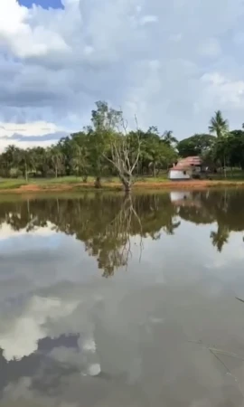 Área comercial Hidrolândia
