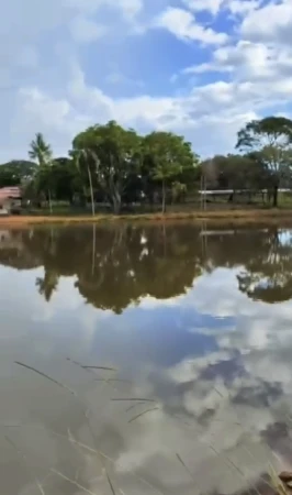Área comercial Hidrolândia