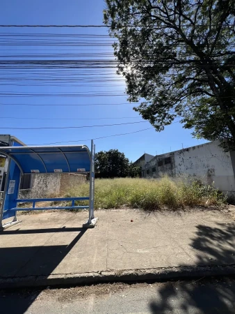 Lote Veiga Jardim