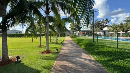 Lote Terras Alpha 2