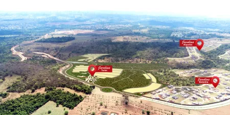 Lote Jardins Turim