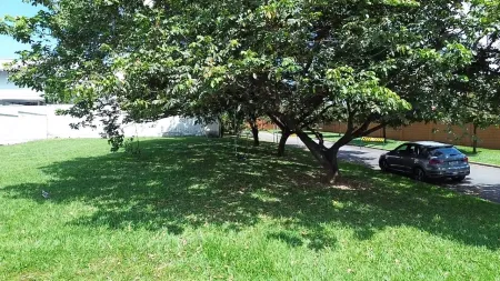 Lote Alphaville Araguaia