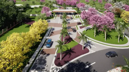 Lote Jardins Roma