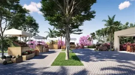 Lote Jardins Roma