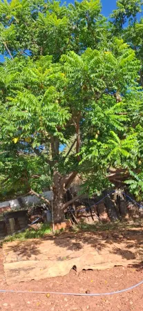Área Jardim Novo Mundo