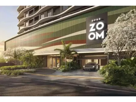 Opus Zoom Marista