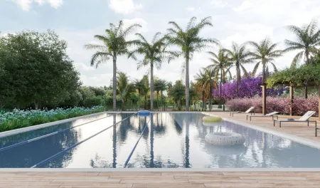 Lote Jardins Miami