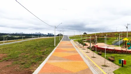 Lote Vinhas Flamboyant