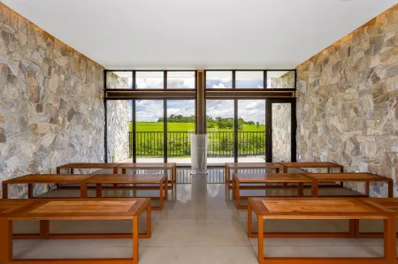 Lote Vinhas Flamboyant