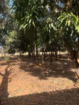 Chácara em Bela Vista de Goiás