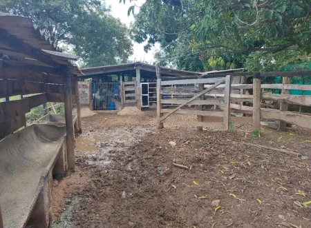 Chácara em Bela Vista de Goiás