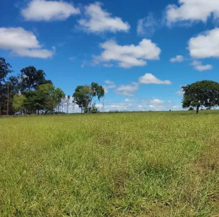 Chácara em Bela Vista de Goiás