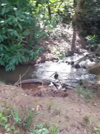 Chácara em Bela Vista de Goiás