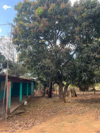 Chácara em Bela Vista de Goiás