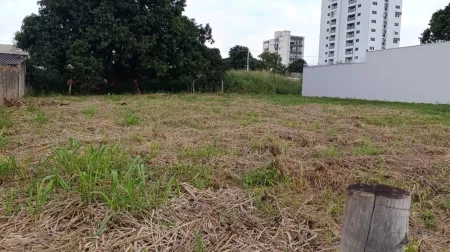 Lote no Setor Vila Rosa