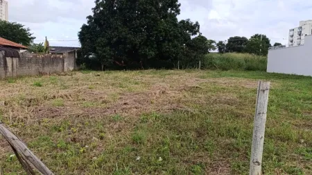 Lote no Setor Vila Rosa