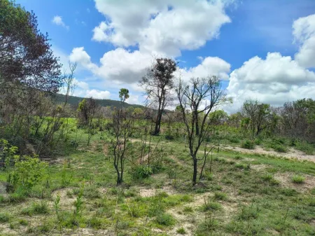Fazenda em Colinas do Sul