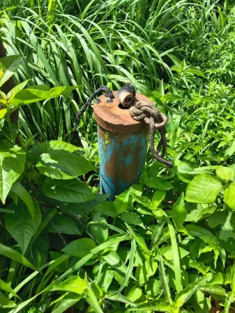 Fazenda em Colinas do Sul