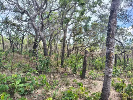 Fazenda em Colinas do Sul