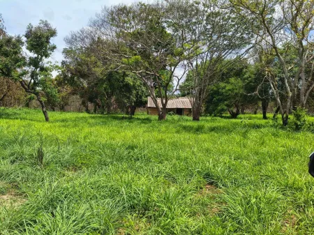 Fazenda em Colinas do Sul