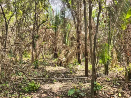 Fazenda em Colinas do Sul