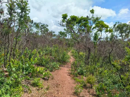 Fazenda em Colinas do Sul