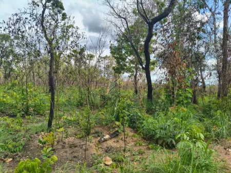 Fazenda em Colinas do Sul