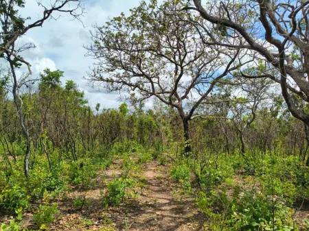 Fazenda em Colinas do Sul