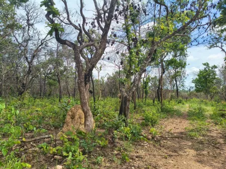 Fazenda em Colinas do Sul
