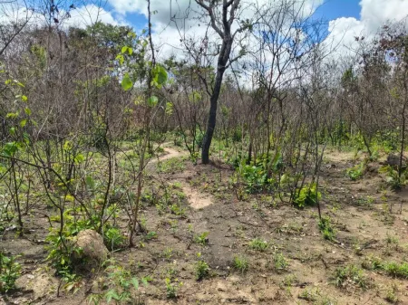 Fazenda em Colinas do Sul