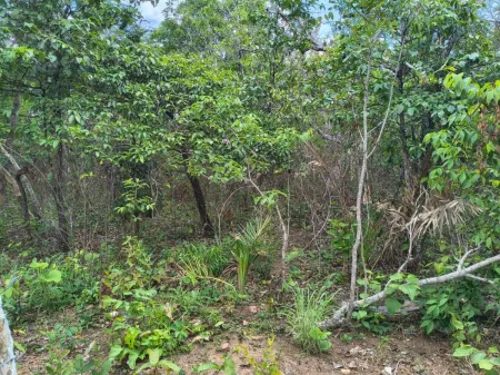 Fazenda em Colinas do Sul