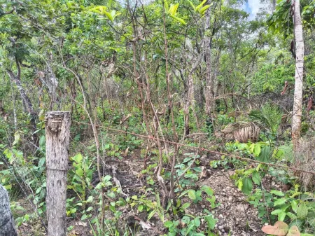 Fazenda em Colinas do Sul