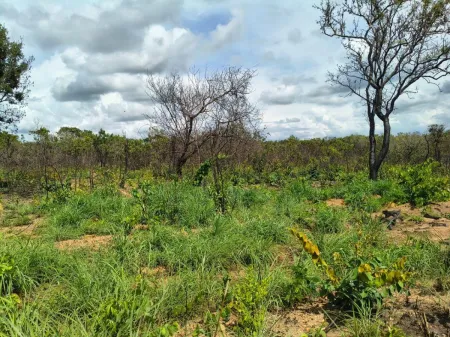 Fazenda em Colinas do Sul