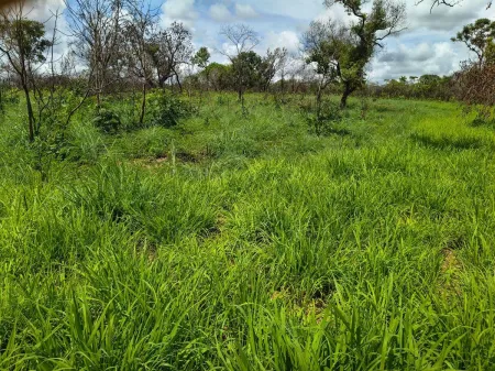 Fazenda em Colinas do Sul