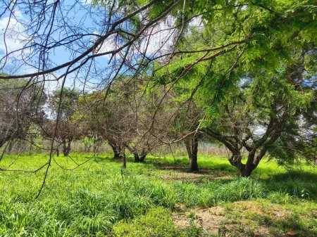 Fazenda em Colinas do Sul