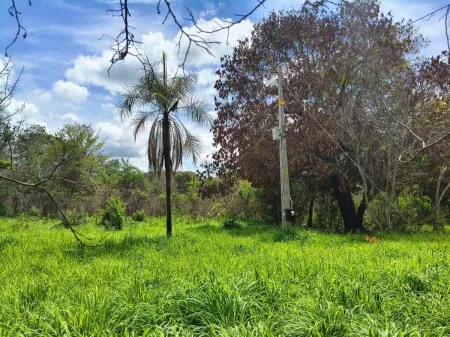 Fazenda em Colinas do Sul