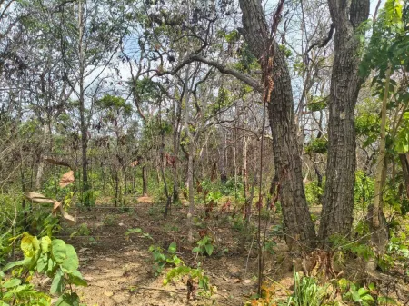 Fazenda em Colinas do Sul