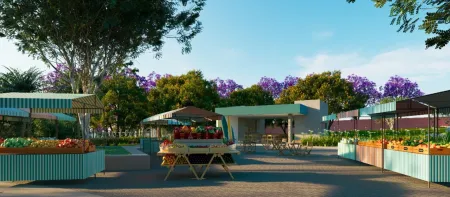 Lote Jardins Miami