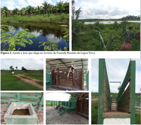 Fazenda Recanto da Lagoa Nova