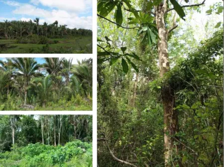 Fazenda Recanto da Lagoa Nova