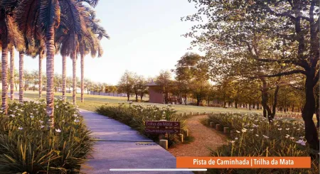 Lote Jardins Parma