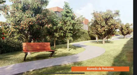 Lote Jardins Parma