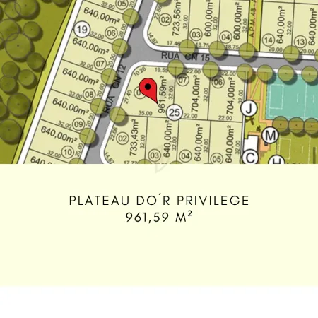 Lote Plateau d'Or Privilege